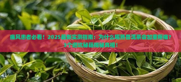 为什么痛风不能喝熟普洱茶