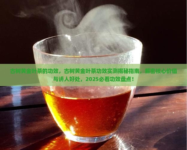 古树黄金叶茶的功效
