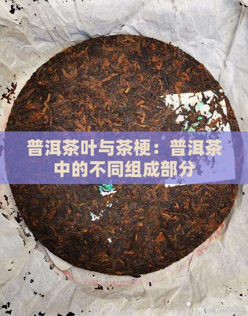 普洱茶叶与茶梗一样吗
