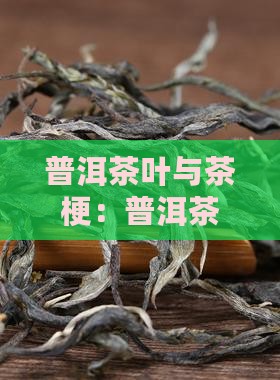 普洱茶叶与茶梗一样吗