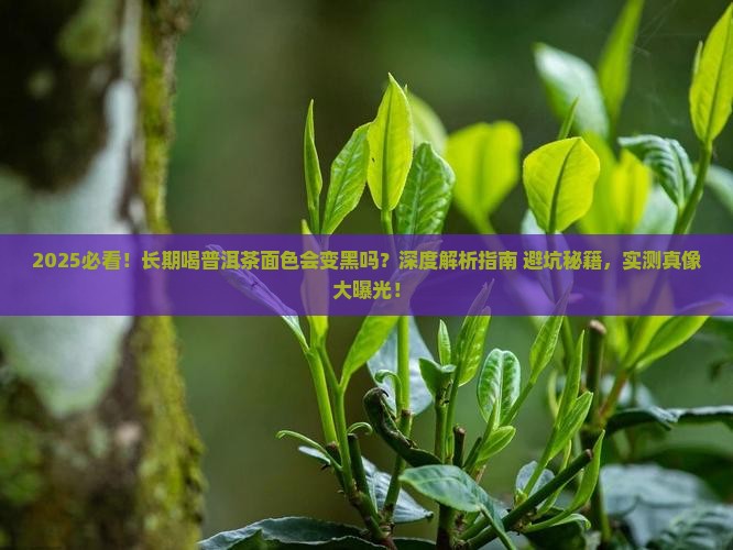 长期喝普洱茶面色会黑吗