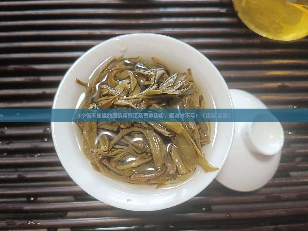 绿茶普洱茶营养区别