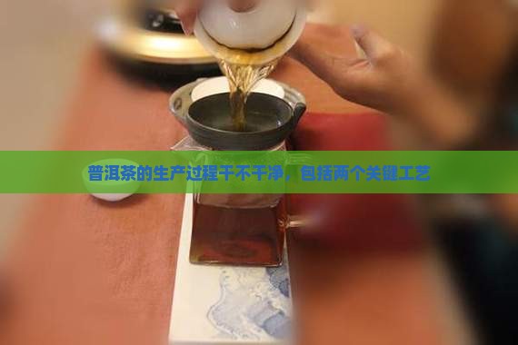 普洱茶的生产过程