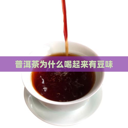 普洱茶为什么喝起来豆味