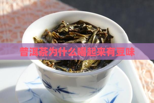 普洱茶为什么喝起来豆味