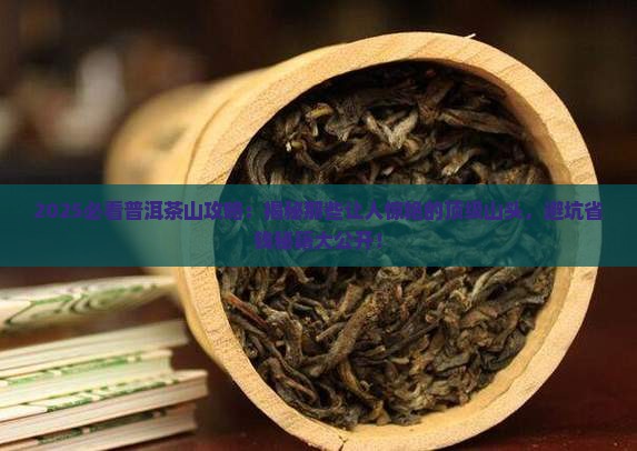 比较出名的普洱茶山