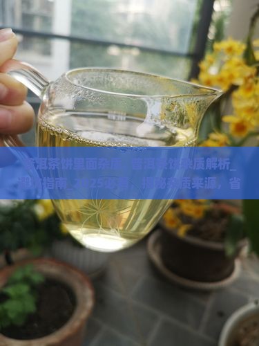普洱茶饼里面杂质