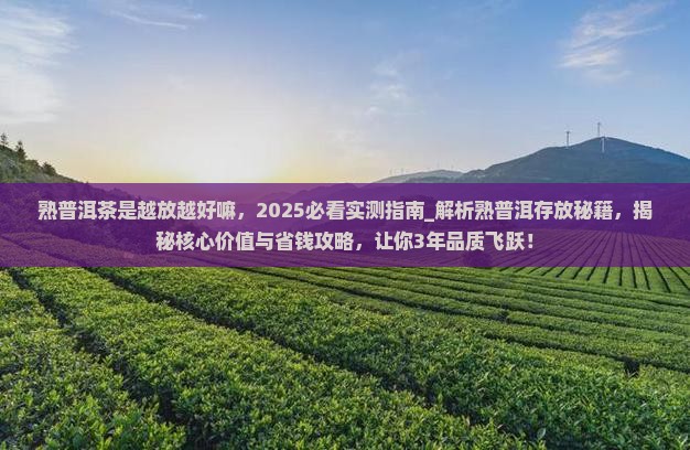 熟普洱茶是越放越好嘛