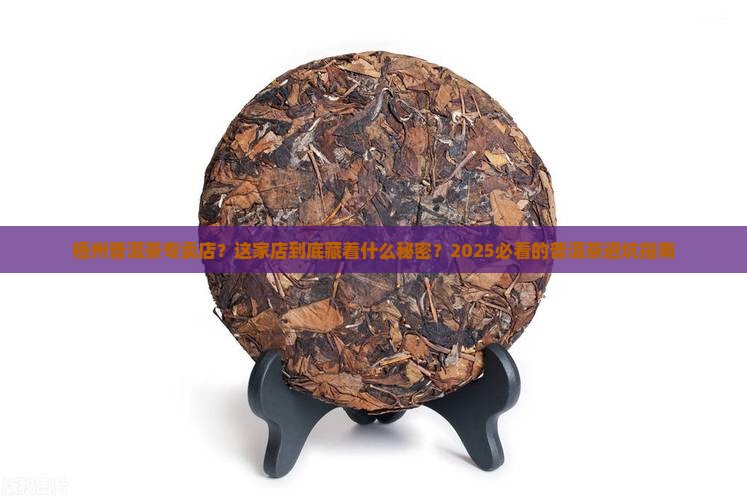 梧州普洱茶专卖店