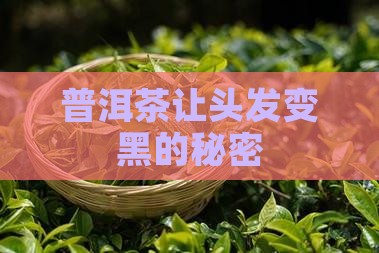 喝生普洱茶头发变黑