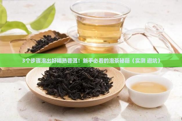 熟普洱茶比例怎么泡