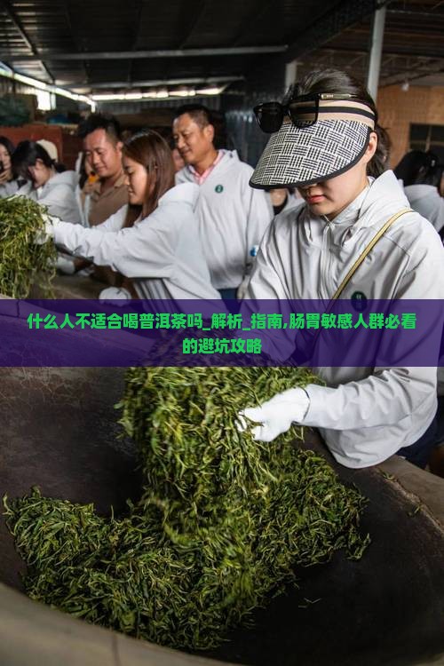 什么人不适合喝普洱茶吗