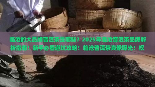 临沧的大品牌普洱茶是