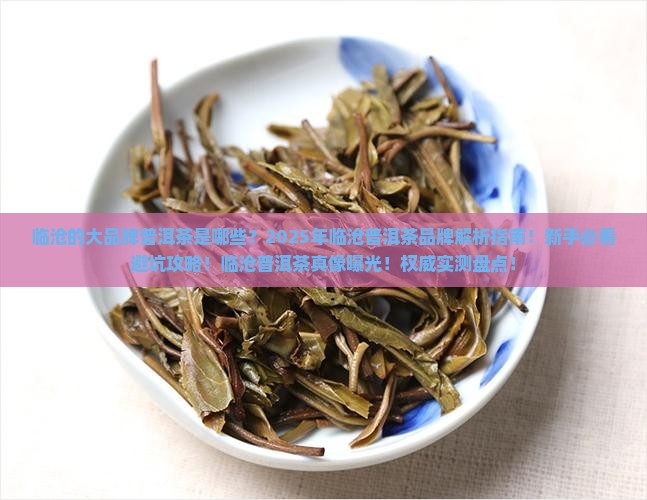 临沧的大品牌普洱茶是