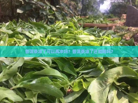 普洱茶冷了能再冲吗