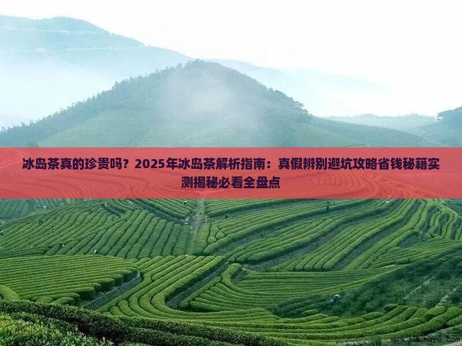 冰岛茶奈珍贵吗