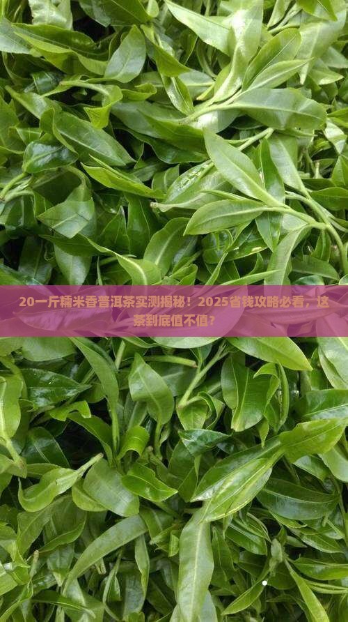 20一斤糯米香普洱茶