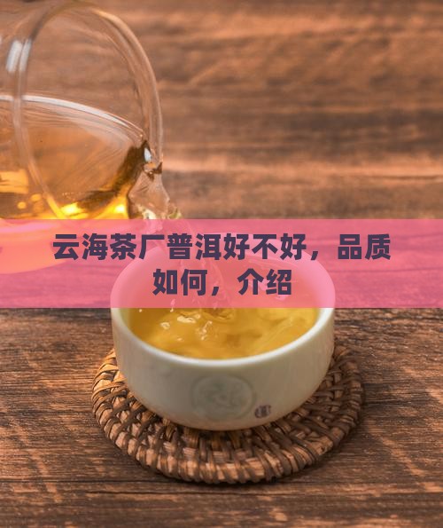 云海茶厂普洱好不好