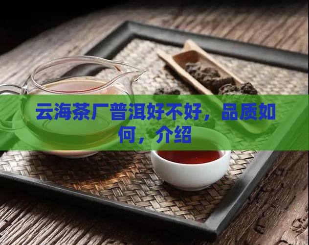 云海茶厂普洱好不好