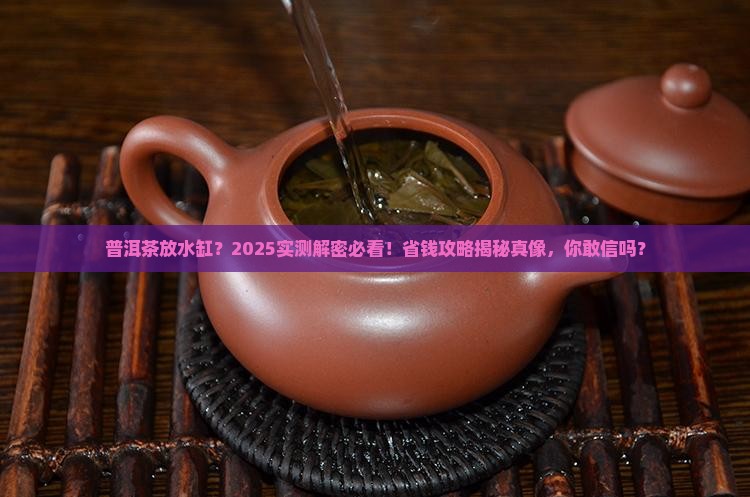 普洱茶可以放水缸
