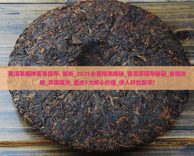 普洱茶哪种更易保存