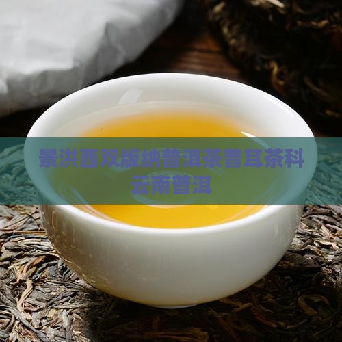 景洪西双版纳普洱茶
