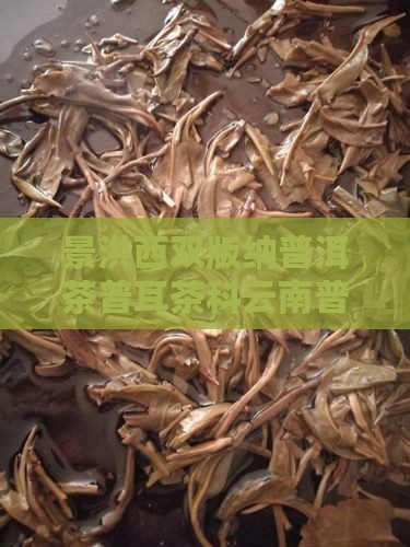 景洪西双版纳普洱茶