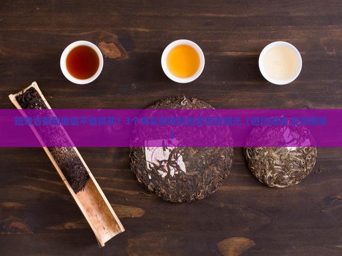 瑞贡茶厂班章古茶