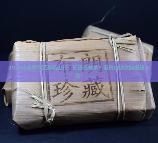 秋茶季普洱茶茶山行