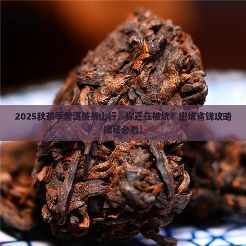 秋茶季普洱茶茶山行