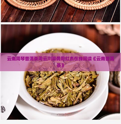 云南周琴普洱茶