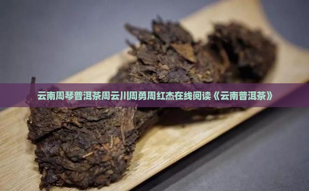云南周琴普洱茶