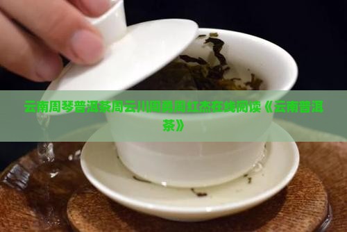 云南周琴普洱茶