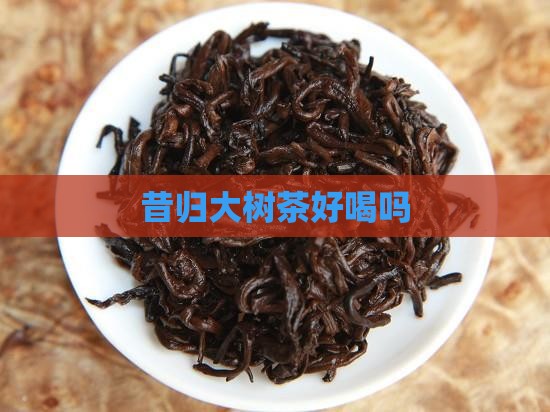 昔归大树茶好喝吗