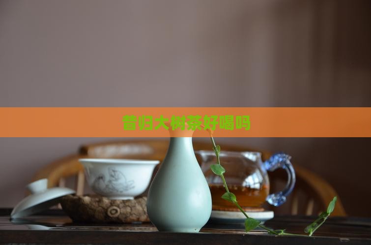昔归大树茶好喝吗