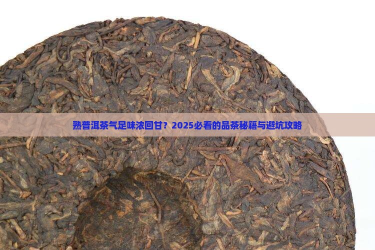熟普洱茶气足味浓回甘