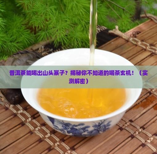 普洱茶可以喝出山头寨子吗