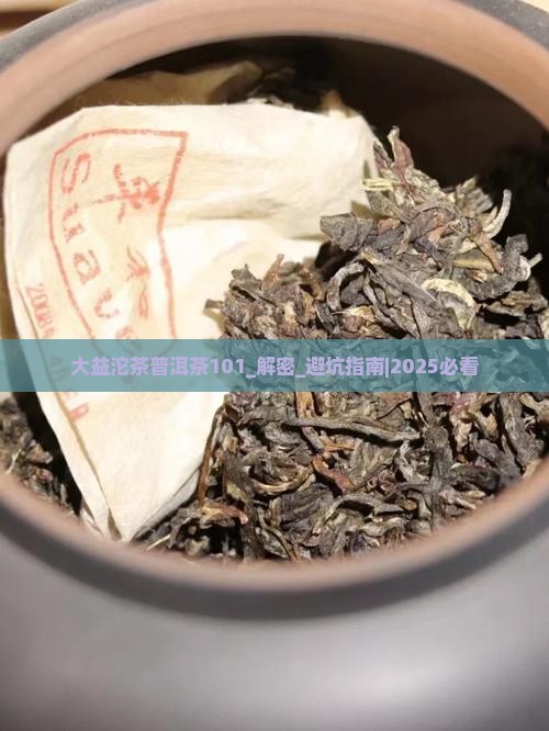 大益沱茶普洱茶101