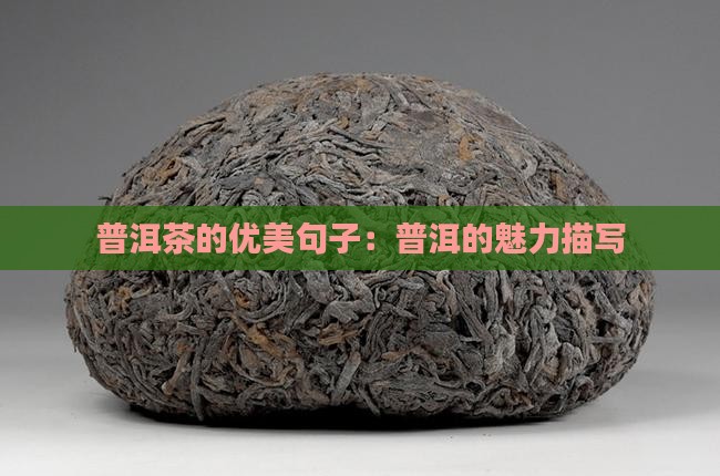 描写普洱茶的优美段落
