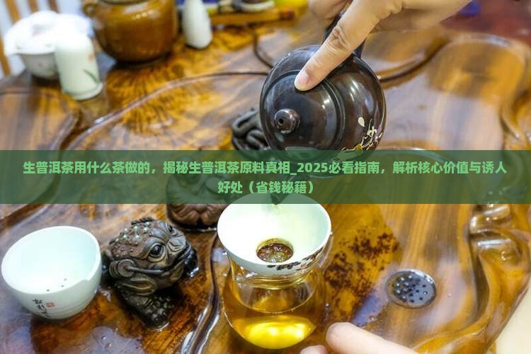 生普洱茶用什么茶做的