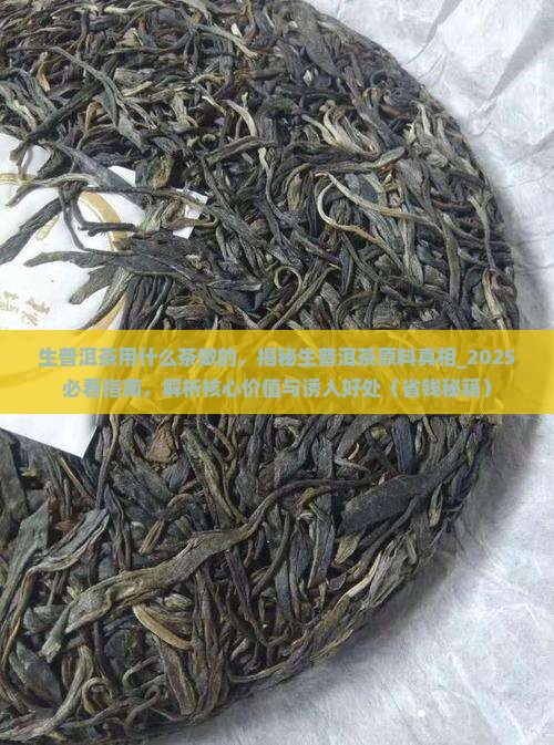 生普洱茶用什么茶做的