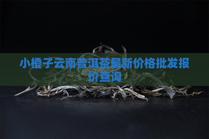 小橙子云南普洱茶价格查询