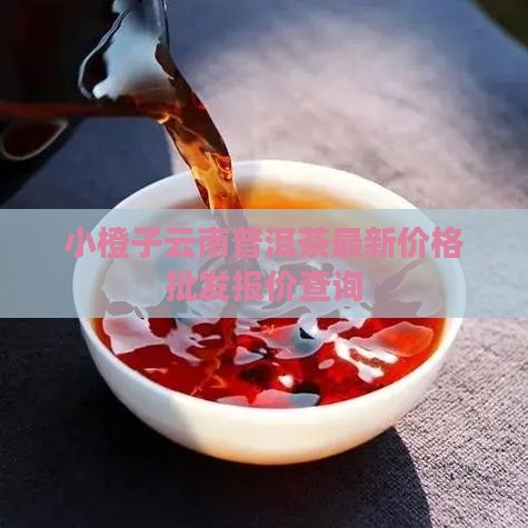 小橙子云南普洱茶价格查询