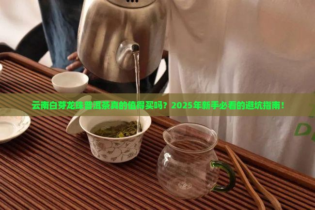 云南白芽龙珠普洱茶