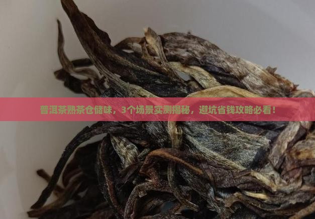 普洱茶熟茶仓储味