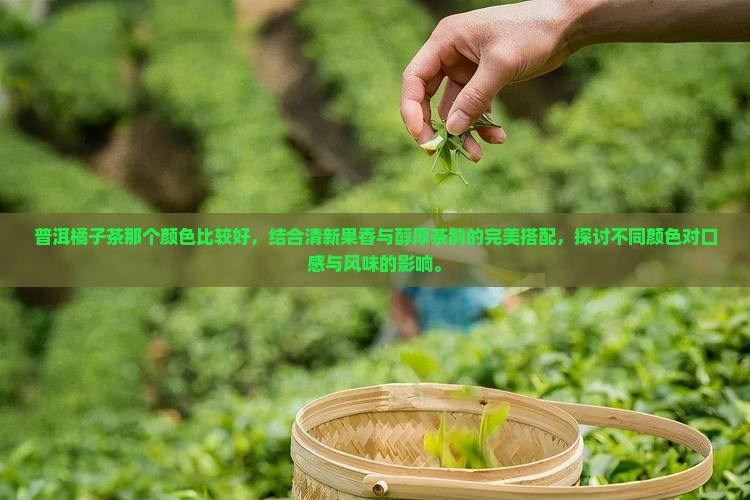 普洱橘子茶那个颜色比较好