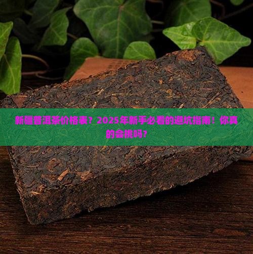新疆普洱茶价格表