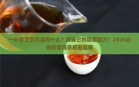一叶普洱茶有哪些