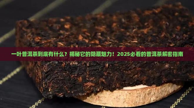 一叶普洱茶有哪些
