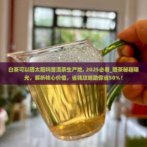 白茶可以晒太阳吗普洱茶生产地
